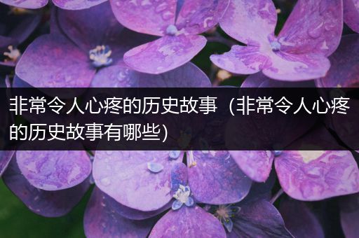 非常令人心疼的历史故事（非常令人心疼的历史故事有哪些）