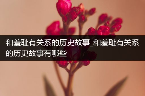 和羞耻有关系的历史故事_和羞耻有关系的历史故事有哪些