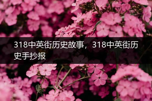 318中英街历史故事，318中英街历史手抄报