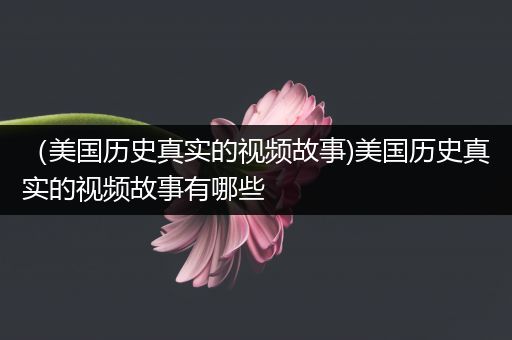 （美国历史真实的视频故事)美国历史真实的视频故事有哪些