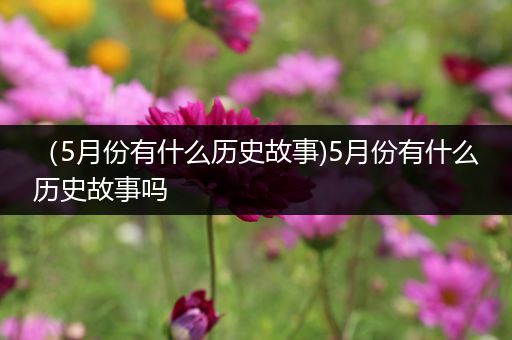 （5月份有什么历史故事)5月份有什么历史故事吗