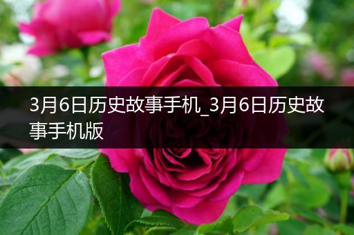 3月6日历史故事手机_3月6日历史故事手机版