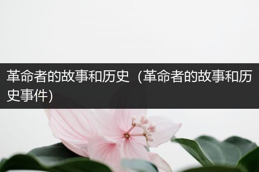 革命者的故事和历史（革命者的故事和历史事件）