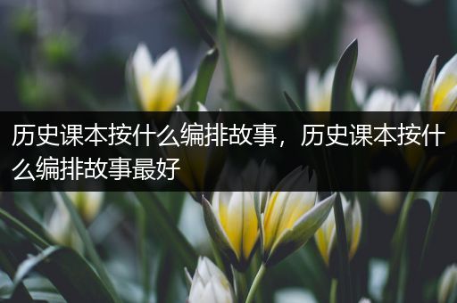 历史课本按什么编排故事，历史课本按什么编排故事最好