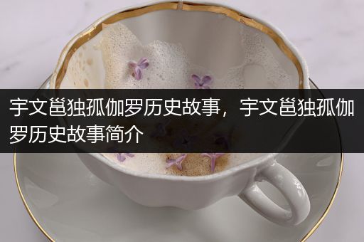 宇文邕独孤伽罗历史故事，宇文邕独孤伽罗历史故事简介