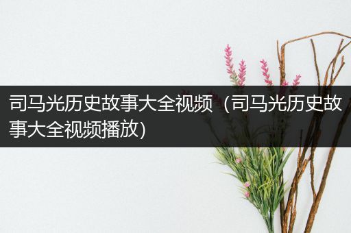 司马光历史故事大全视频（司马光历史故事大全视频播放）