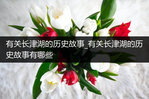 有关长津湖的历史故事_有关长津湖的历史故事有哪些