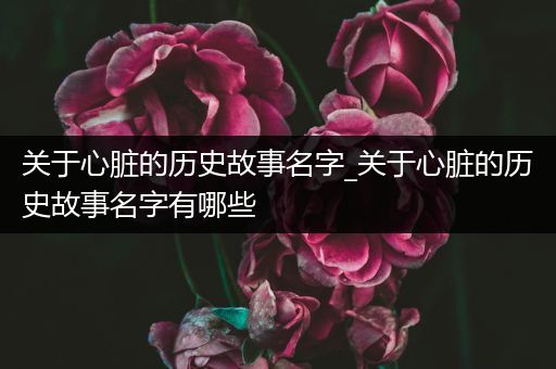 关于心脏的历史故事名字_关于心脏的历史故事名字有哪些