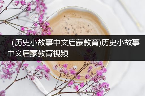 （历史小故事中文启蒙教育)历史小故事中文启蒙教育视频