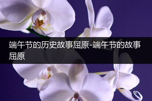 端午节的历史故事屈原-端午节的故事 屈原