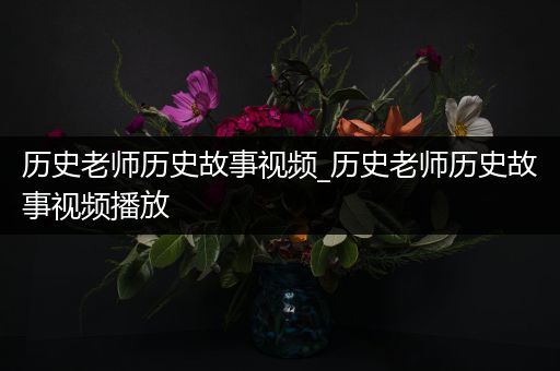 历史老师历史故事视频_历史老师历史故事视频播放