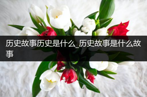 历史故事历史是什么_历史故事是什么故事