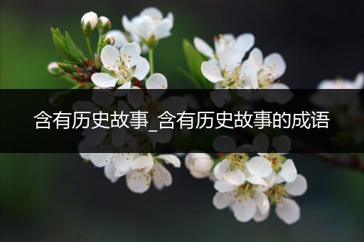 含有历史故事_含有历史故事的成语