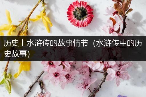 历史上水浒传的故事情节（水浒传中的历史故事）