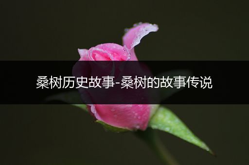 桑树历史故事-桑树的故事传说