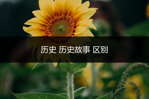 历史 历史故事 区别