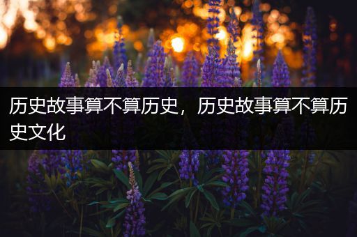 历史故事算不算历史，历史故事算不算历史文化