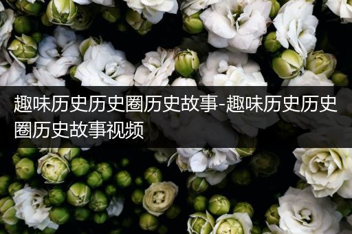 趣味历史历史圈历史故事-趣味历史历史圈历史故事视频