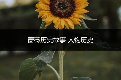 蔷薇历史故事 人物历史