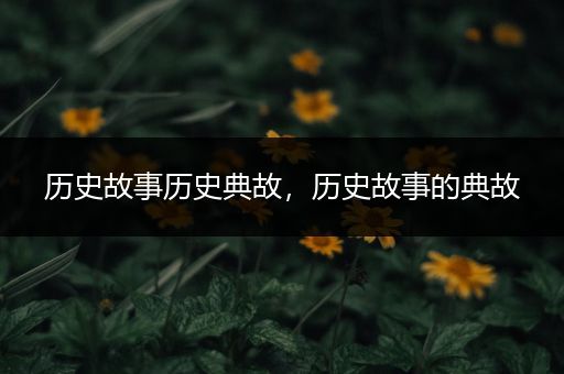 历史故事历史典故，历史故事的典故