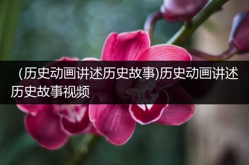 （历史动画讲述历史故事)历史动画讲述历史故事视频