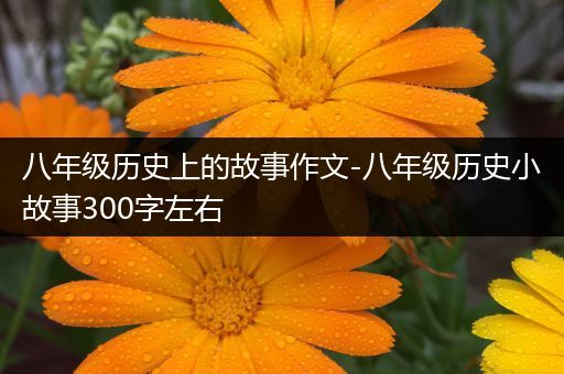 八年级历史上的故事作文-八年级历史小故事300字左右