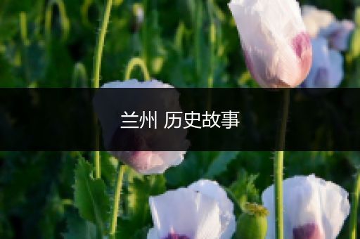 兰州 历史故事