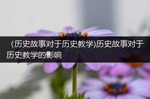 （历史故事对于历史教学)历史故事对于历史教学的影响